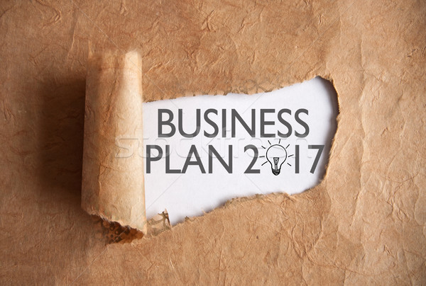 Uncovering a business plan 2017 Stock photo © unikpix