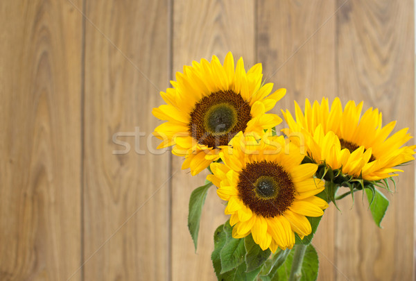 Sonnenblumen Holz Blumen Sonne Sommer Stock foto © unikpix
