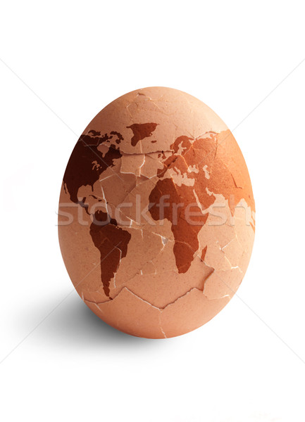 новых Мир родившийся яйцо форма бизнеса Сток-фото © unikpix
