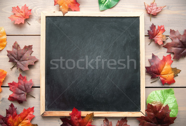 Autumn leaves around a blackboard  Stock photo © unikpix