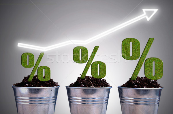 Perentage growth concept Stock photo © unikpix
