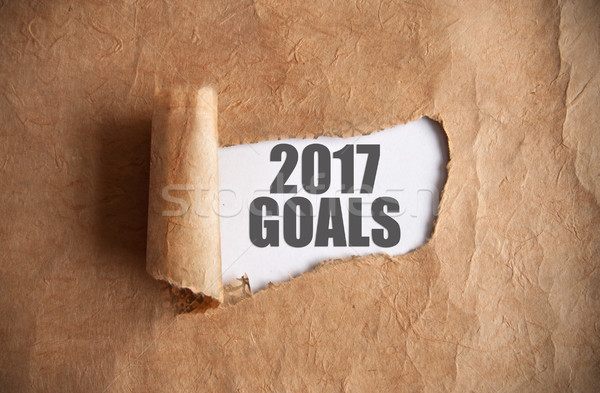 2017 goals uncovered  Stock photo © unikpix