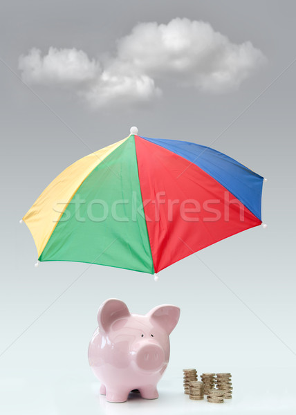 Financial protection Stock photo © unikpix