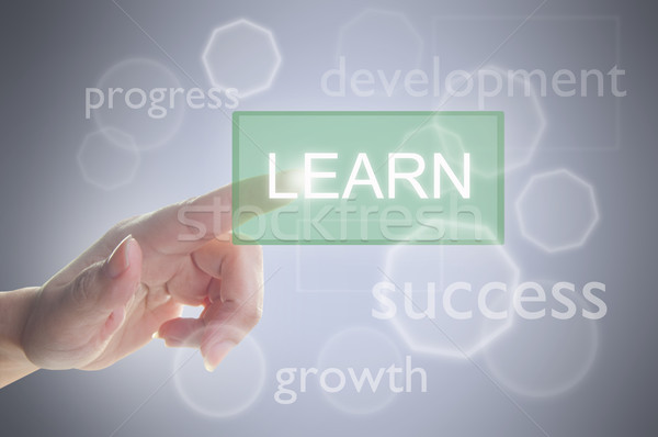 Learn button Stock photo © unikpix