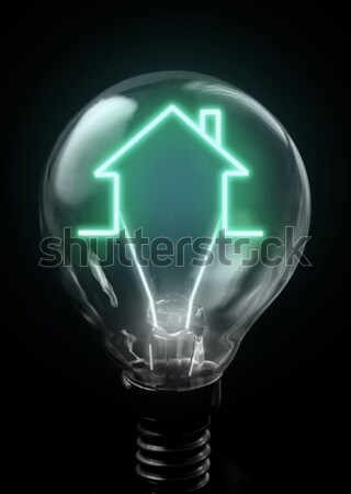 Real estate or home savings Stock photo © unikpix