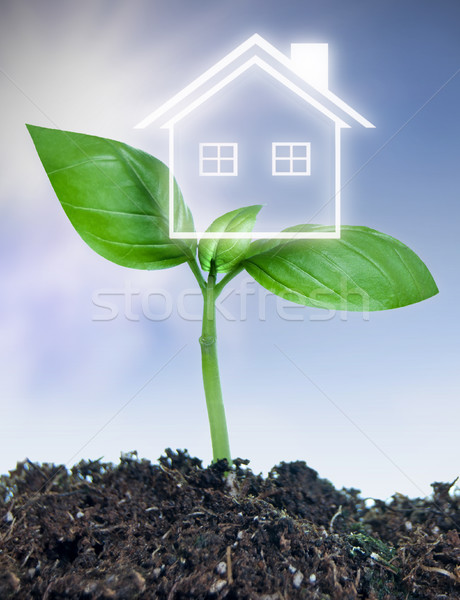 Real estate new investment concept  Stock photo © unikpix