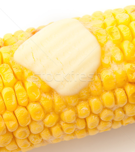 Corn on the cob Stock photo © unikpix