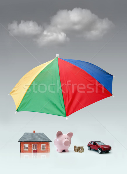 Insurance protection concept  Stock photo © unikpix