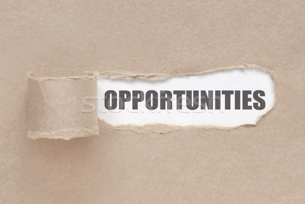 Uncovering opportunities Stock photo © unikpix