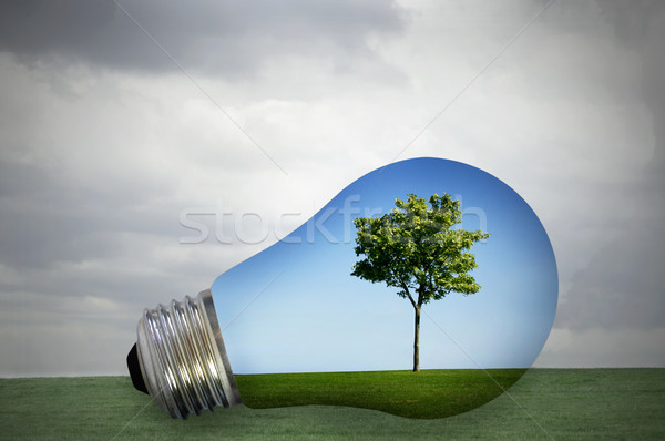 Ecologic energie albastru bec Imagine de stoc © unikpix