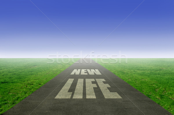 New life  Stock photo © unikpix