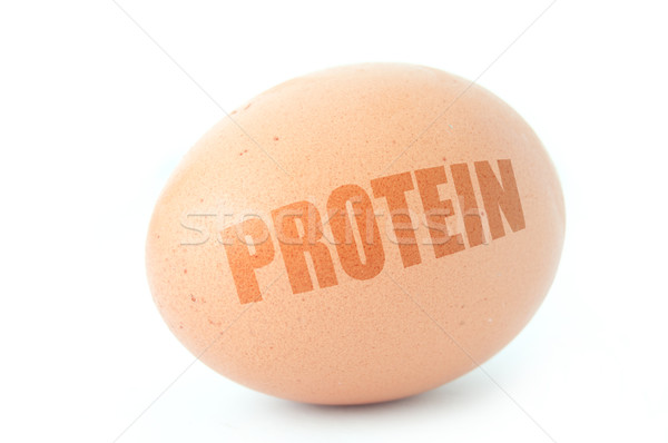 Protein diet  Stock photo © unikpix