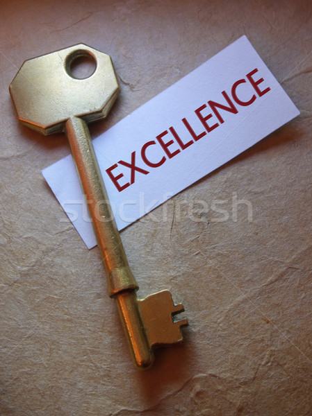 Excellence  Stock photo © unikpix