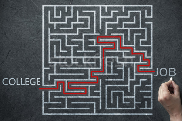 Job prospects maze solution Stock photo © unikpix