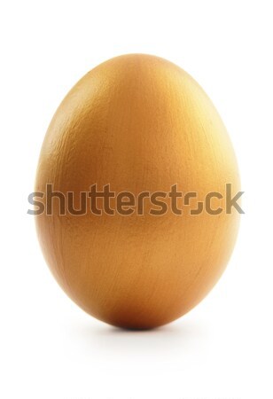 Golden egg Stock photo © unikpix