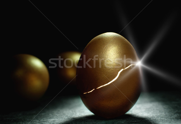 Gold nest egg coming to life Stock photo © unikpix