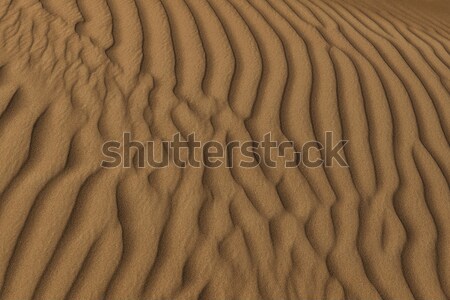 desert sand structure Stock photo © unkreatives