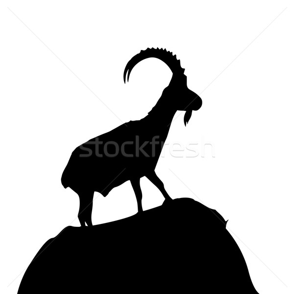 goat mountain Stock photo © unkreatives