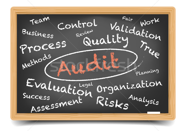 Audit Wordcloud Stock photo © unkreatives