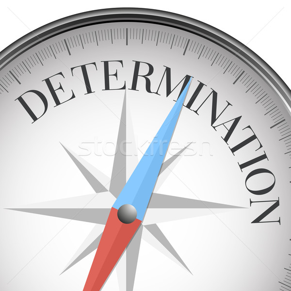 compass determination Stock photo © unkreatives