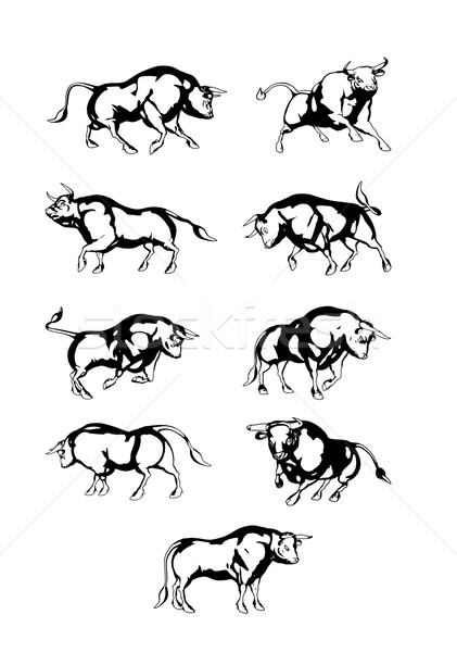 Vectorset Bull Stock photo © unweit