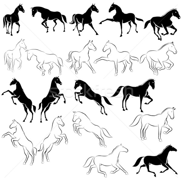 Stockfoto: Ingesteld · paarden · verschillend · zwart · wit · paard · lopen