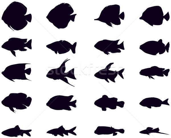 Siluete acvariu peşte vector Imagine de stoc © UrchenkoJulia