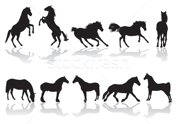 Horses Stock photo © UrchenkoJulia