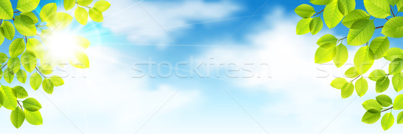 Spring vector Stock photo © user_10003441