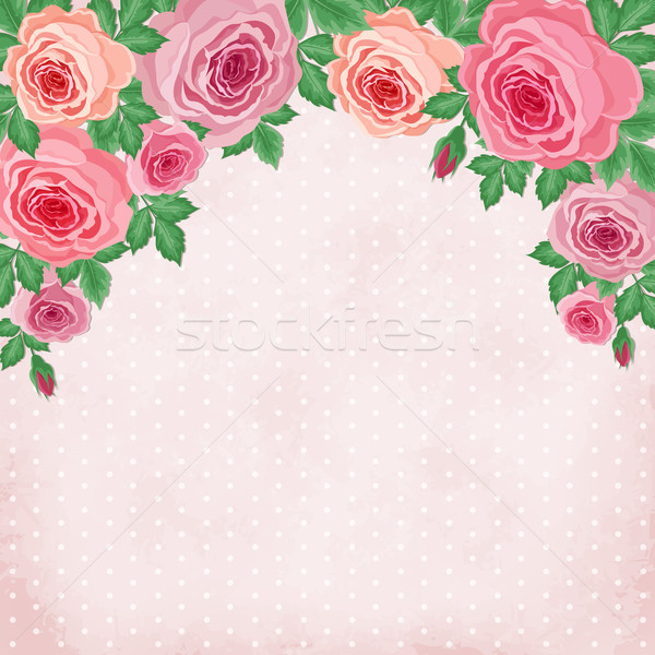 Stock photo: Vintage roses