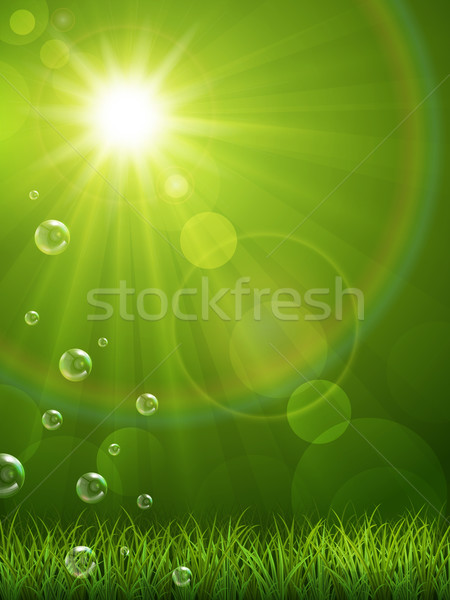 Zdjęcia stock: Lata · zielone · piękna · zielona · trawa · wiosną · trawy