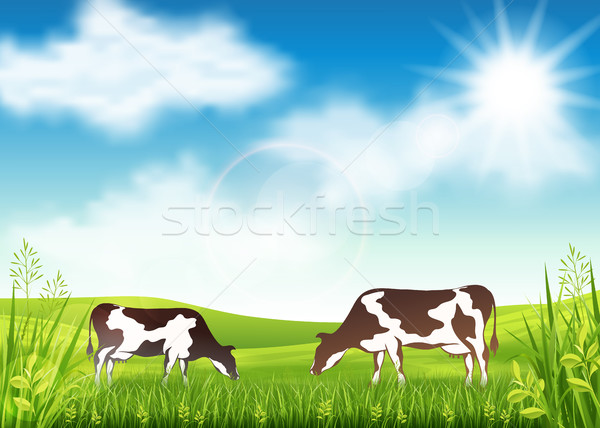 Tehenek nyár legelő tehén égbolt fű Stock fotó © user_10003441