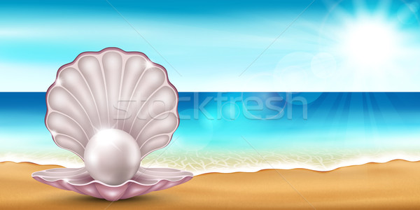 Concha praia mar belo conchas água Foto stock © user_10003441