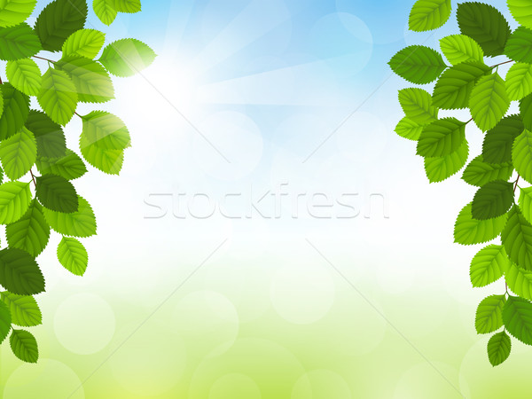 Spring vector Stock photo © user_10003441