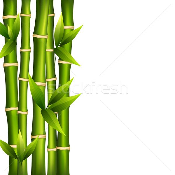 Foto stock: Bambu · branco · paisagem · verão · verde · estância · termal