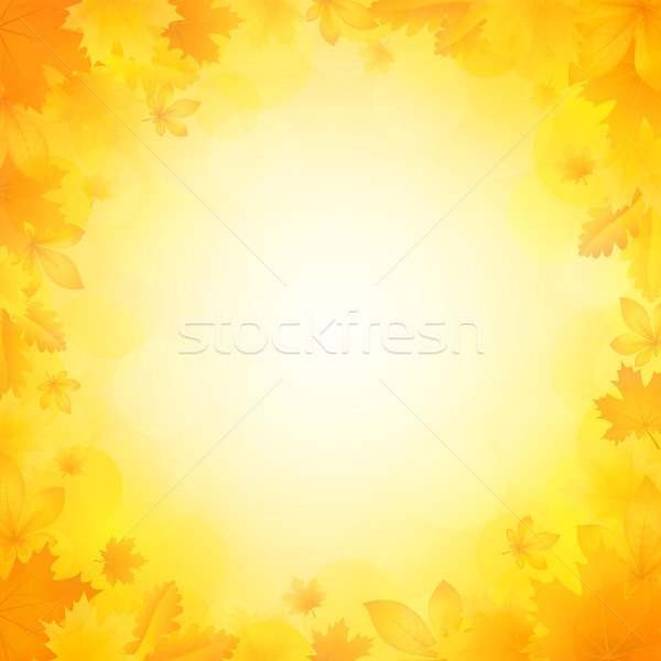 Hojas de otoño hermosa árbol fondo roble frontera Foto stock © user_10003441