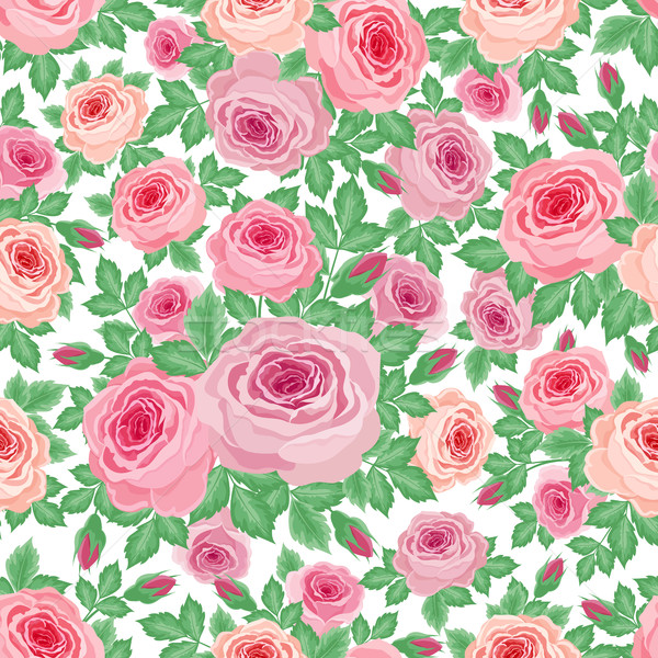 Patrón rosas flor primavera aumentó Foto stock © user_10003441