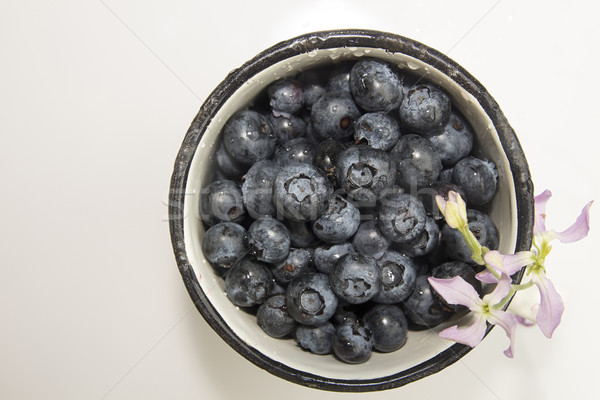 Foto stock: Caneca · branco · decorado · orquídea · comida