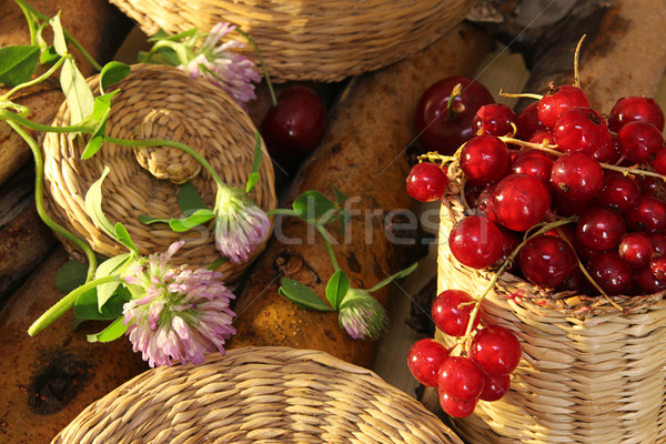 Red currant in wattled busket against background branches Stock photo © user_11056481