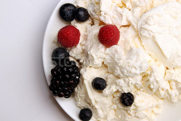 Cottage cheese and berry. Stock photo © user_11056481