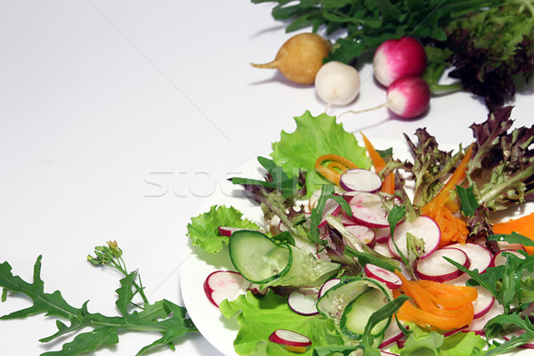 Radish, carrots, cucumber, lettuce, arugula salad Stock photo © user_11056481