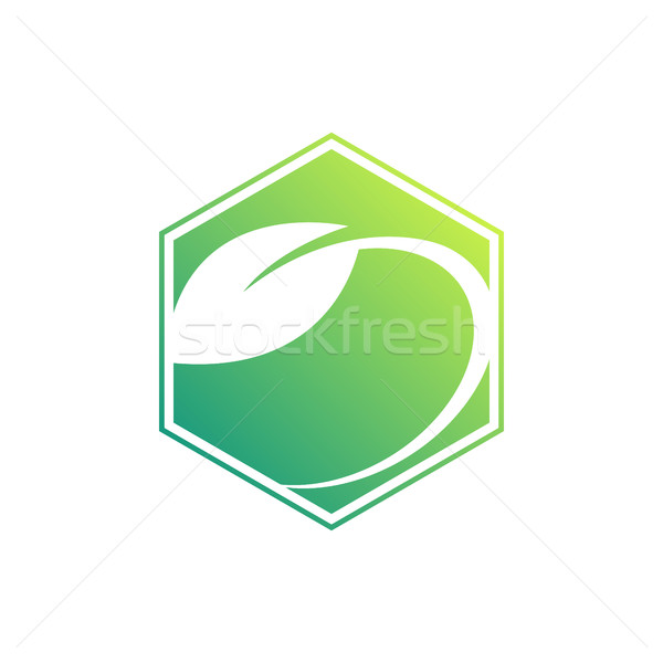 Leaf inside hexagon, flat design icon Stock photo © user_11138126