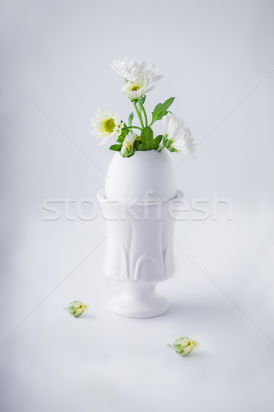 Monte branco crisântemo flores crescente ovo Foto stock © user_11224430