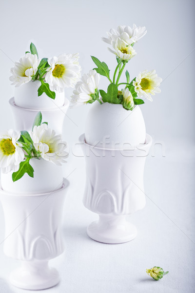 Bunch of white chrysanthemum flowers growing from egg shell  Stock photo © user_11224430