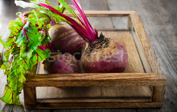 Raw Organic Beets Stock photo © user_11224430