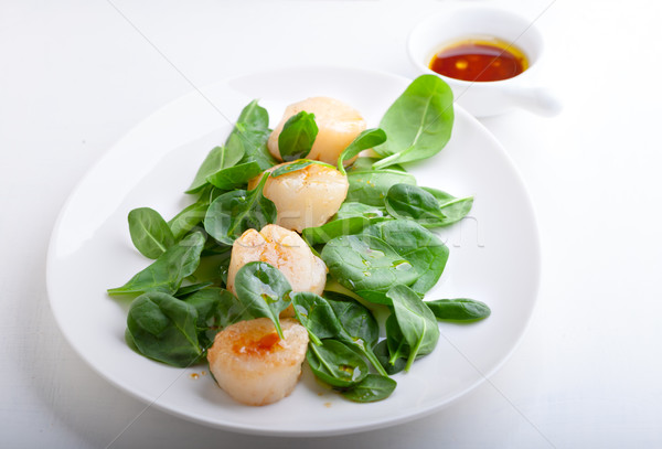 Scallop Salad with greenery Stock photo © user_11224430