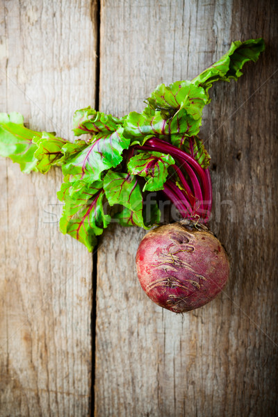 Raw Organic Beet Stock photo © user_11224430