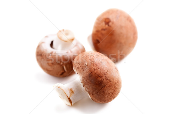 Mushrooms: Three Champignons Stock photo © user_11224430