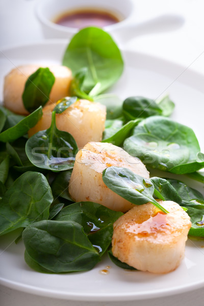 Scallop Salad with greenery on a white plate. Stock photo © user_11224430