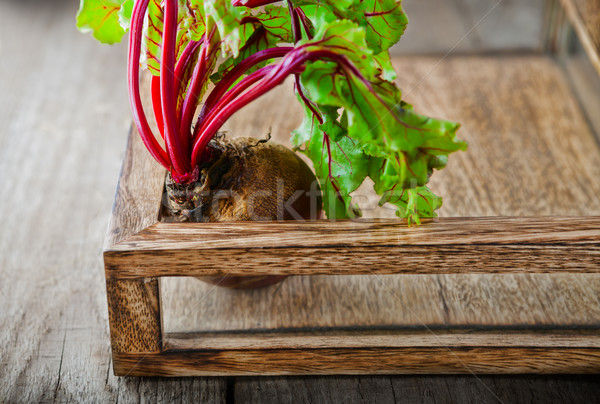 Raw Organic Beet Stock photo © user_11224430